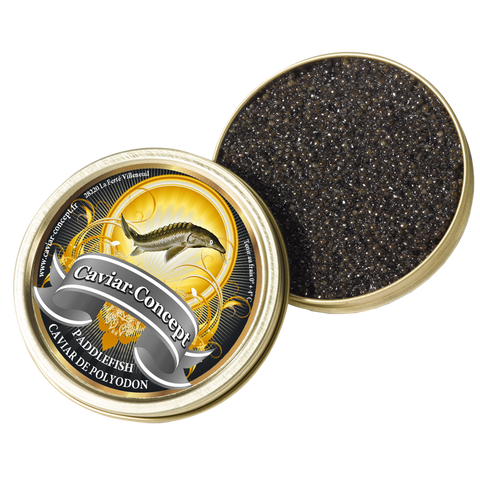 Polyodon Paddlefish Caviar
